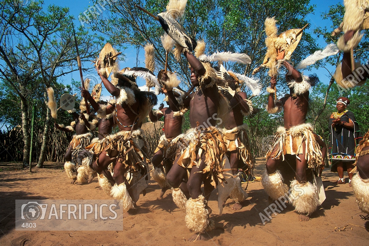 AFRIPICS - Stick fighting demonstration by Zulu men at the